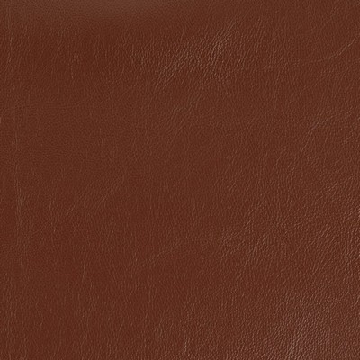 Charlotte Fabrics V920 Umber