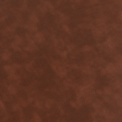 Charlotte Fabrics V922 Rust