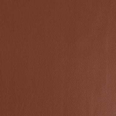 Charlotte Fabrics V923 Tawny