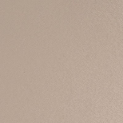 Charlotte Fabrics V934 Pebble