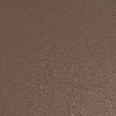 Charlotte Fabrics V935 Clay