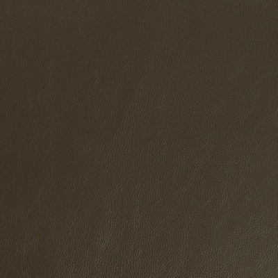 Charlotte Fabrics V939 Olive