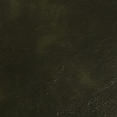 Charlotte Fabrics V940 Spruce