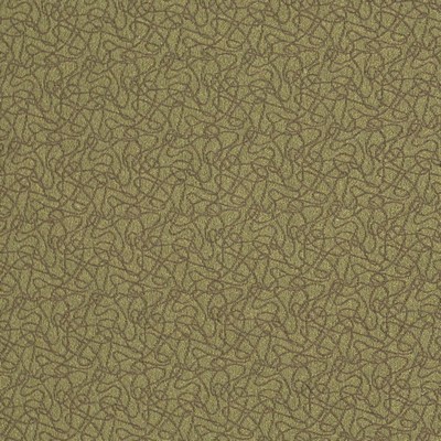 Charlotte Fabrics Y1116 Olive
