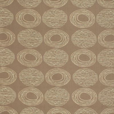 Charlotte Fabrics Y1129 Brindle