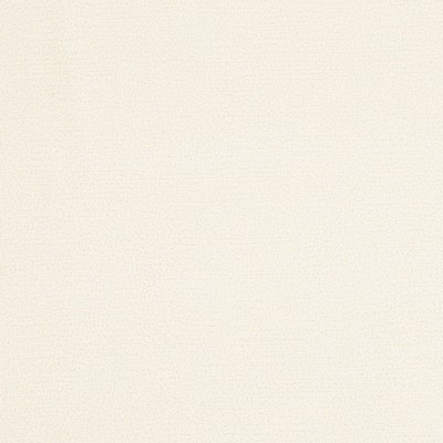 Charlotte Fabrics Y1282 Natural Etch