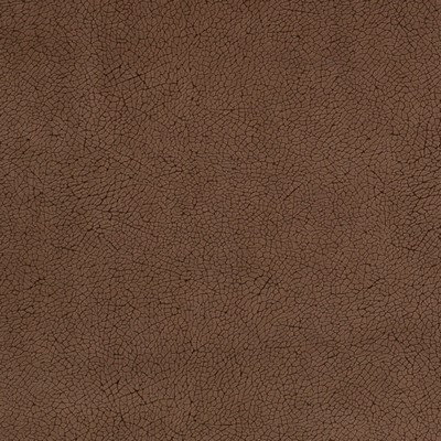 Charlotte Fabrics Y1283 Chocolate Mosaic