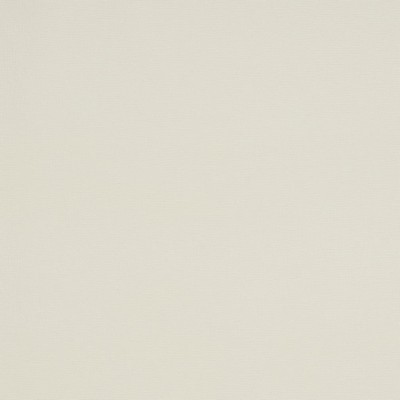 Charlotte Fabrics Y1287 Pearl