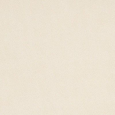 Charlotte Fabrics Y1291 Cream