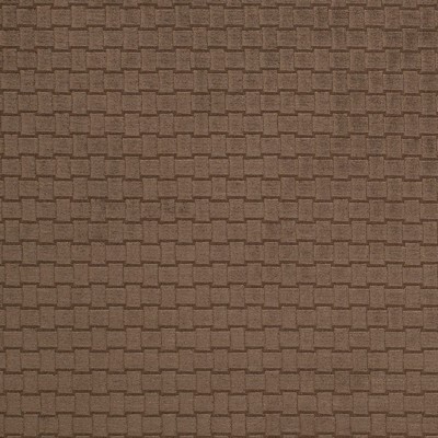 Charlotte Fabrics Y1308 Cocoa