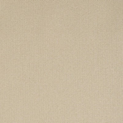 Charlotte Fabrics Y1345 Rattan