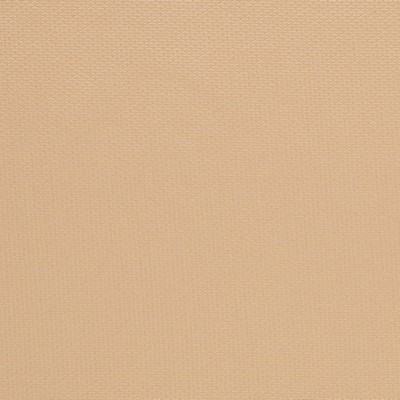 Charlotte Fabrics Y1356 Cashew