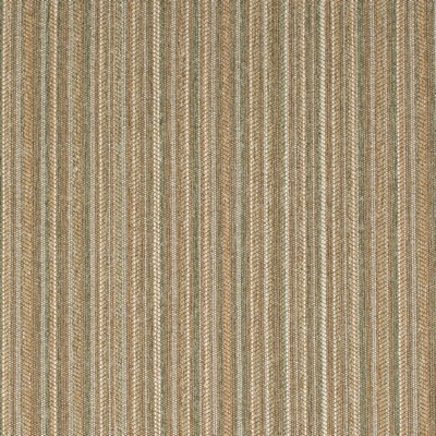 Charlotte Fabrics Y1405 Cactus