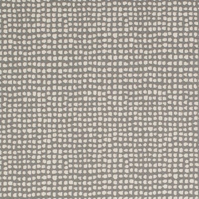 Charlotte Fabrics Y1419 Pewter