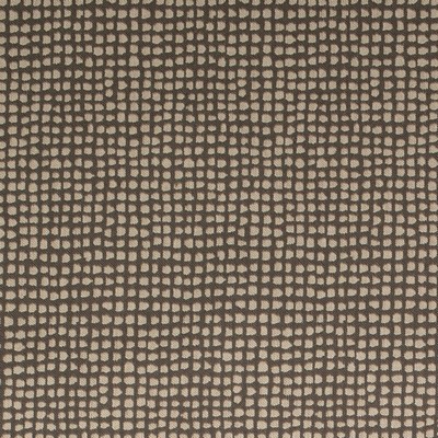 Charlotte Fabrics Y1420 Desert