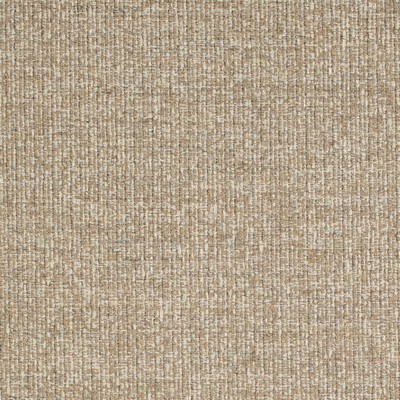 Charlotte Fabrics Y1425 Suede