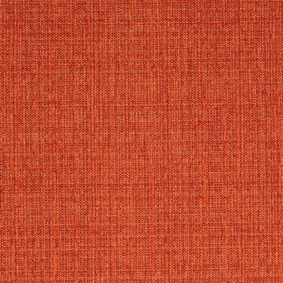 Charlotte Fabrics Y1428 Apricot