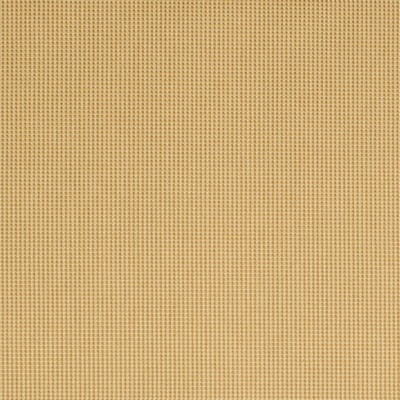 Charlotte Fabrics Y1448 Grain