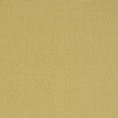 Charlotte Fabrics Y1463 Pesto