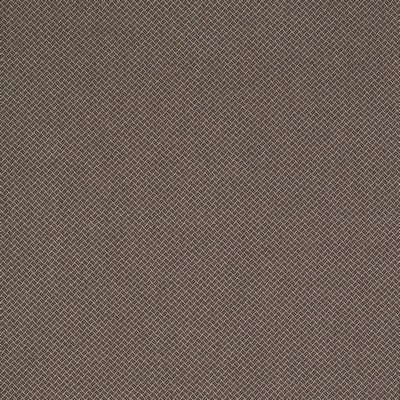 Charlotte Fabrics Y1465 Earth