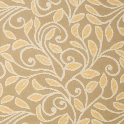 Charlotte Fabrics Y1466 Camel