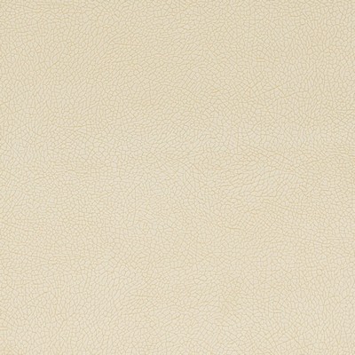 Charlotte Fabrics Y1536 Bisque Mosaic