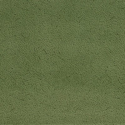 Charlotte Fabrics Y1537 Alpine Mosaic