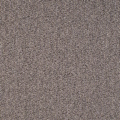 Charlotte Fabrics Y1542 Onyx