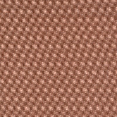 Charlotte Fabrics Y1557 Spice/Dot
