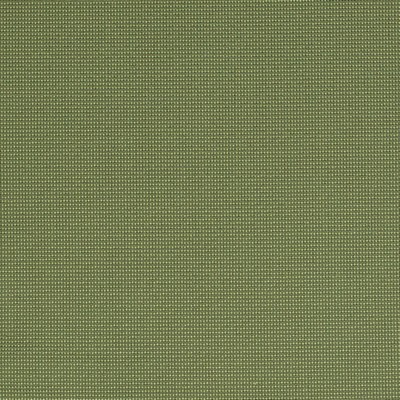 Charlotte Fabrics Y1561 Ivy/Dot