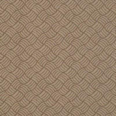 Charlotte Fabrics Y1572 Acorn/Metro