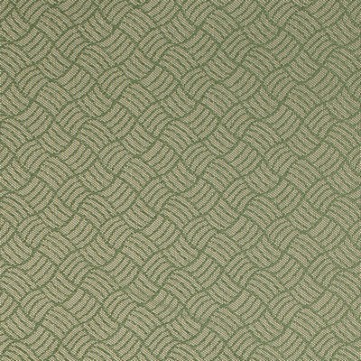 Charlotte Fabrics Y1618 Ivy/Metro