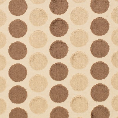 Charlotte Fabrics Y1685 Mocha