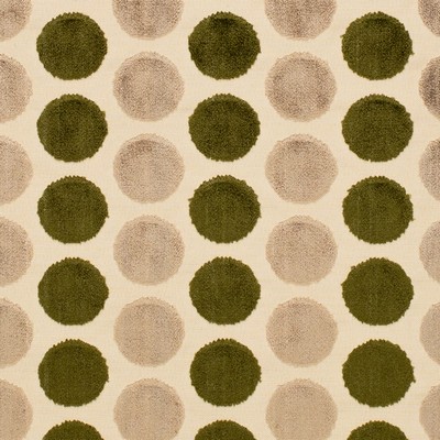 Charlotte Fabrics Y1689 Evergreen