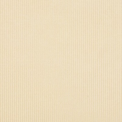 Charlotte Fabrics Y1699 Vanilla Stripe