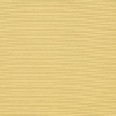 Charlotte Fabrics Y1749 Celery