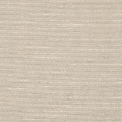 Charlotte Fabrics Y1783 Putty