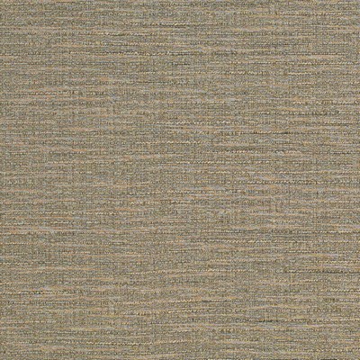 Charlotte Fabrics Y1795 Pewter