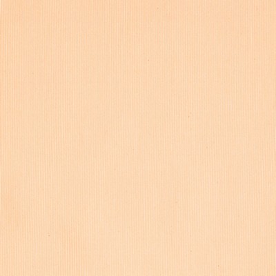 Charlotte Fabrics Y1811 Ivory