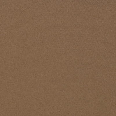 Charlotte Fabrics Y1841 Mocha