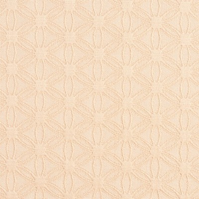 Charlotte Fabrics Y1906 Natural Charm