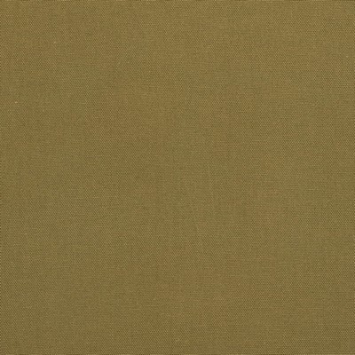 Charlotte Fabrics Y1934 Moss