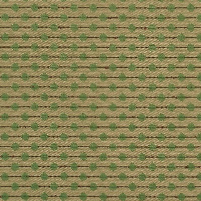 Charlotte Fabrics Y1957 Juniper