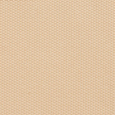 Charlotte Fabrics Y1974 Birch