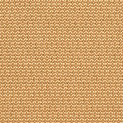 Charlotte Fabrics Y1975 Bamboo