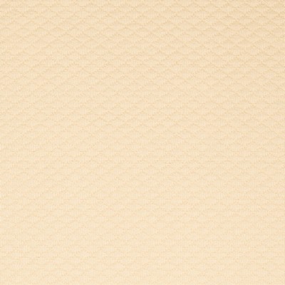 Charlotte Fabrics Y1988 Ivory Diamond