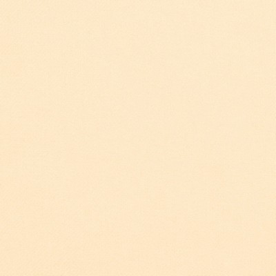 Charlotte Fabrics Y1992 Vanilla