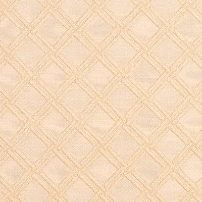 Charlotte Fabrics Y2099 Natural Diamond