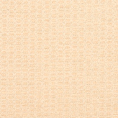 Charlotte Fabrics Y2146 Opal