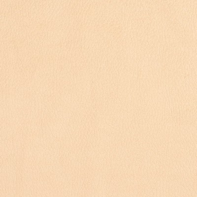 Charlotte Fabrics Y2153 Ecru